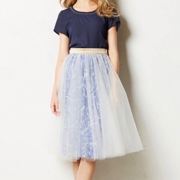 Anthropologie Dresses & Skirts - Alexandra Greco Anthropologie Tulle Overlay Skirt Blue Floral 2